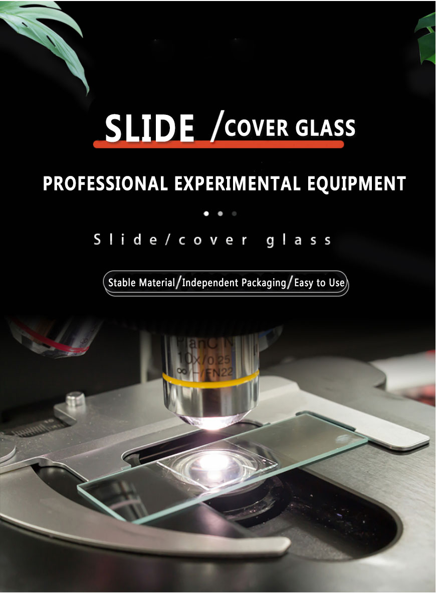 Square Microscope Slides